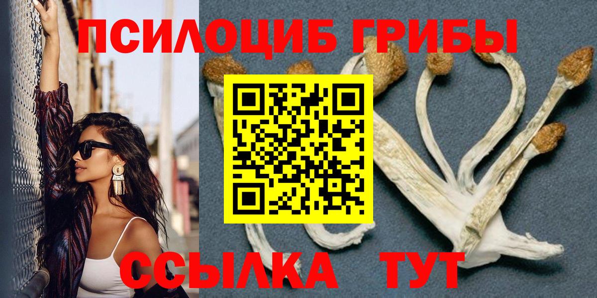Псилоцибиновые грибы GOLDEN TEACHER Ипатово