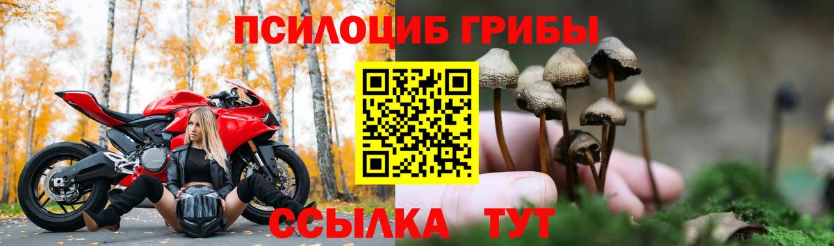 Галлюциногенные грибы ЛСД  Вход с VPN  Ипатово 